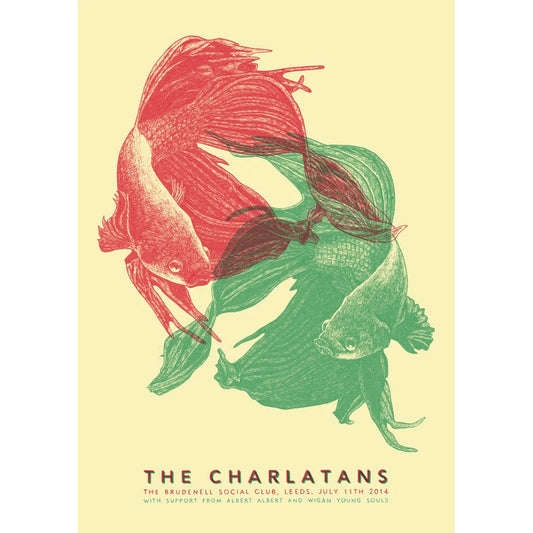 The Charlatans