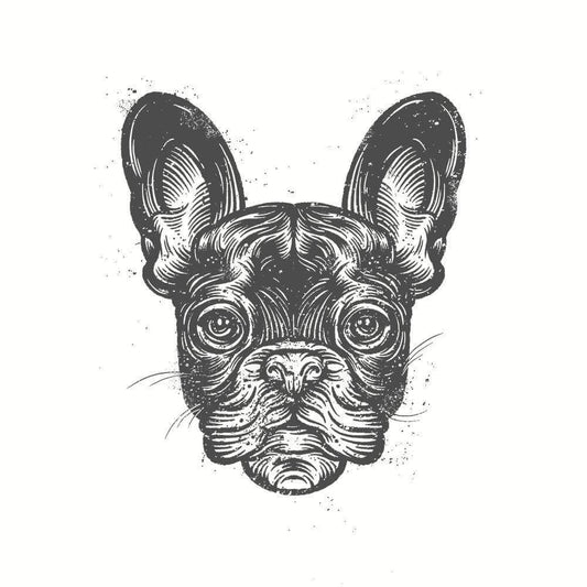 Frenchie